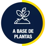 NCW_abasedeplantas