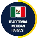 traditional-mexican-harvest